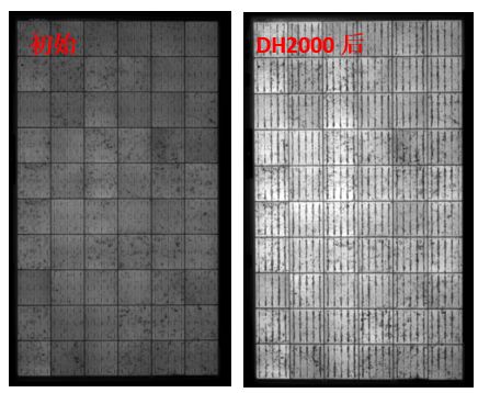 圖13 組件采用VA33含量EVA封裝后，DH2000前后的EL圖